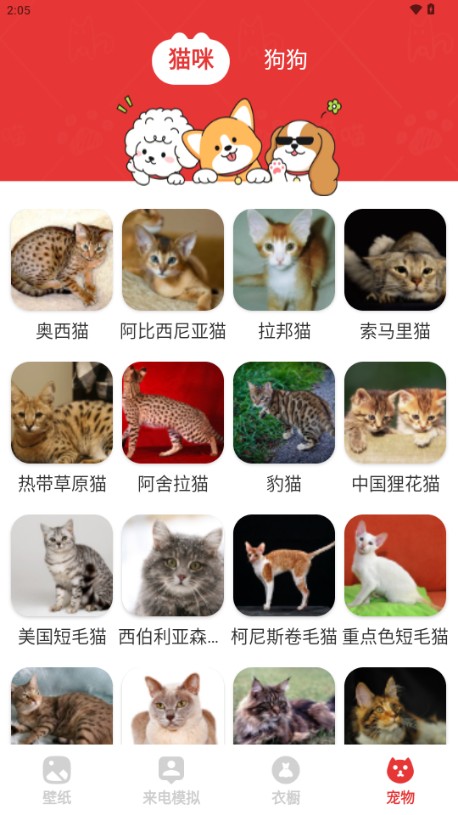 樱桃壁纸