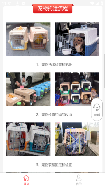 宠物托运公司