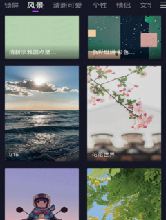 最美动态壁纸