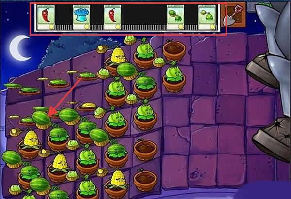 植物大战僵尸95版