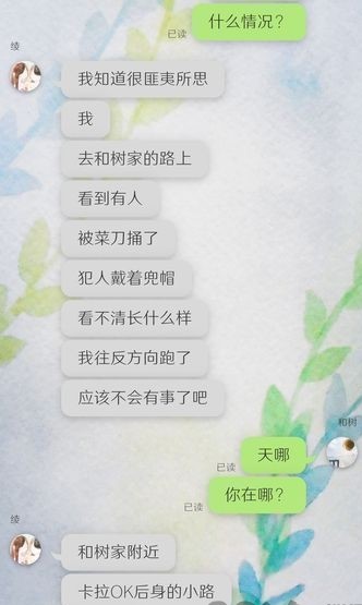 我的女友在被人追赶截图0