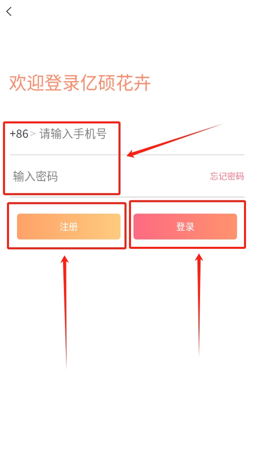 亿硕花卉