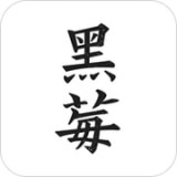 黑莓小说安卓版