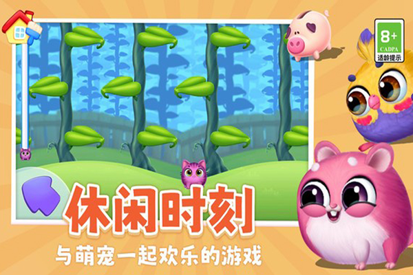 我要养猫图片2