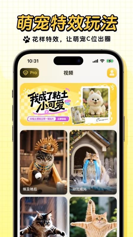 宠玩手机版截图0