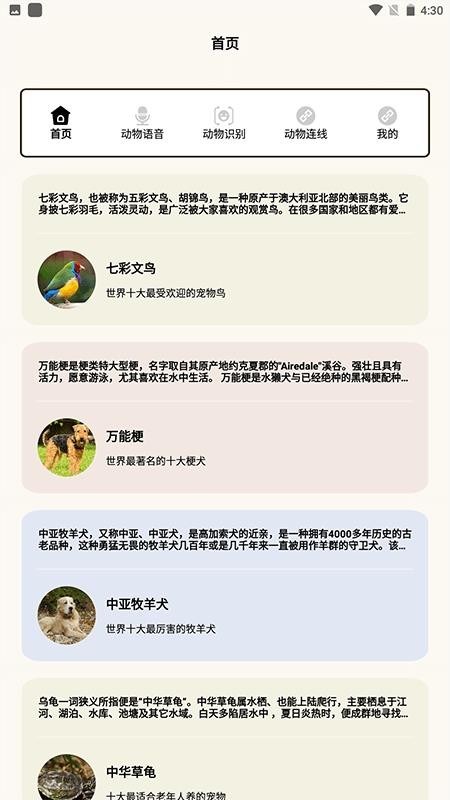 动物世界i免费版截图3
