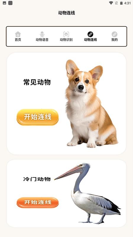 动物世界i免费版截图2