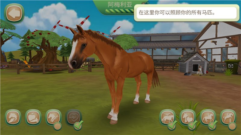 照顾马儿们