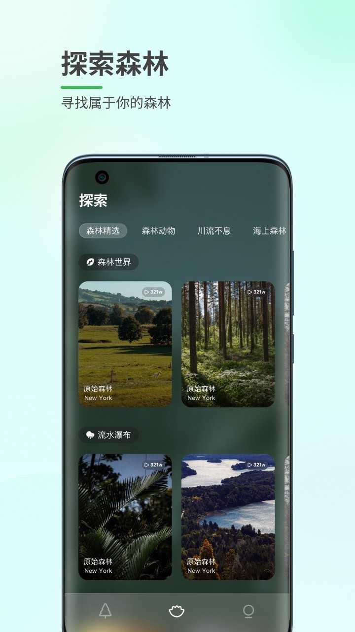 森林白噪音截图1