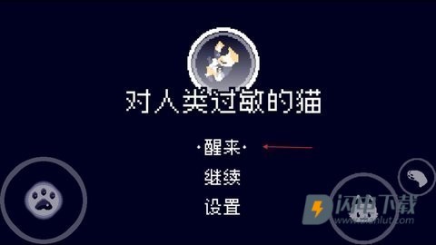 对人类过敏的猫 第1张图
