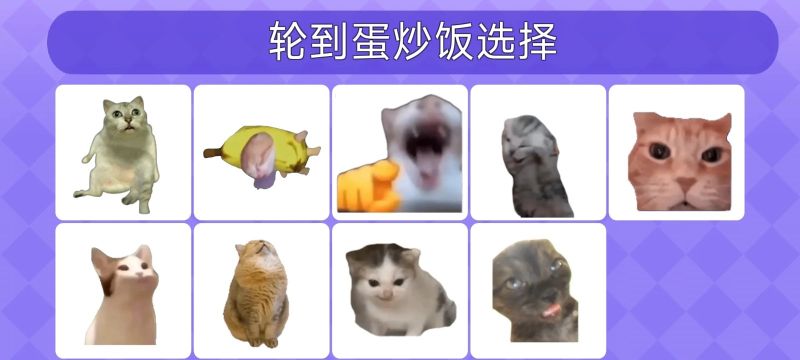 女巫的毒药猫Meme版截图2