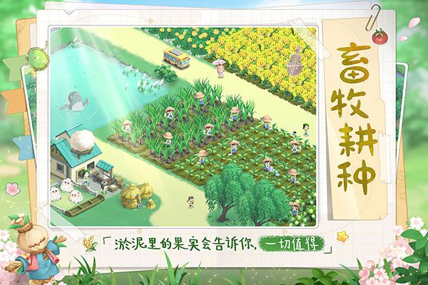 向往的生活最新版截图3