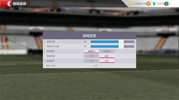 胜利足球2