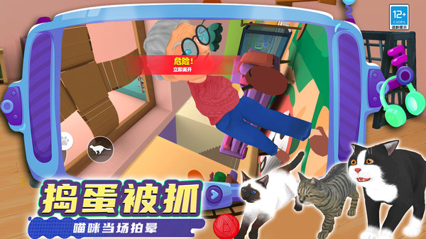 奇妙猫猫王国截图0