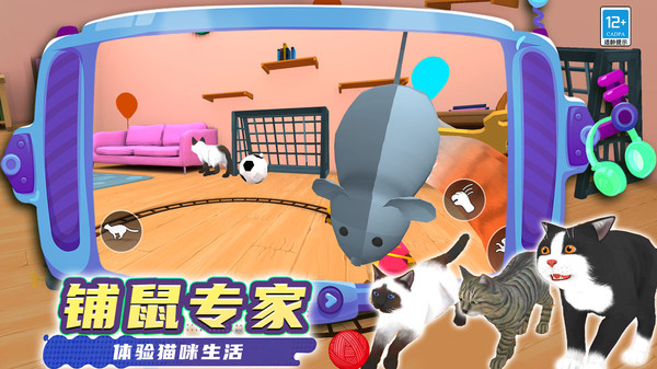 奇妙猫猫王国截图3