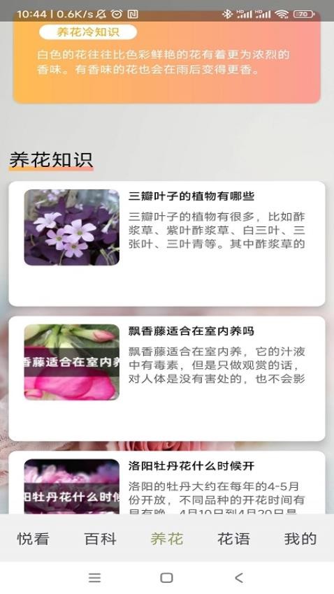 四季养花截图2