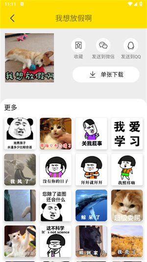悦动表情包截图1