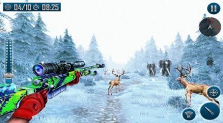 动物射击枪