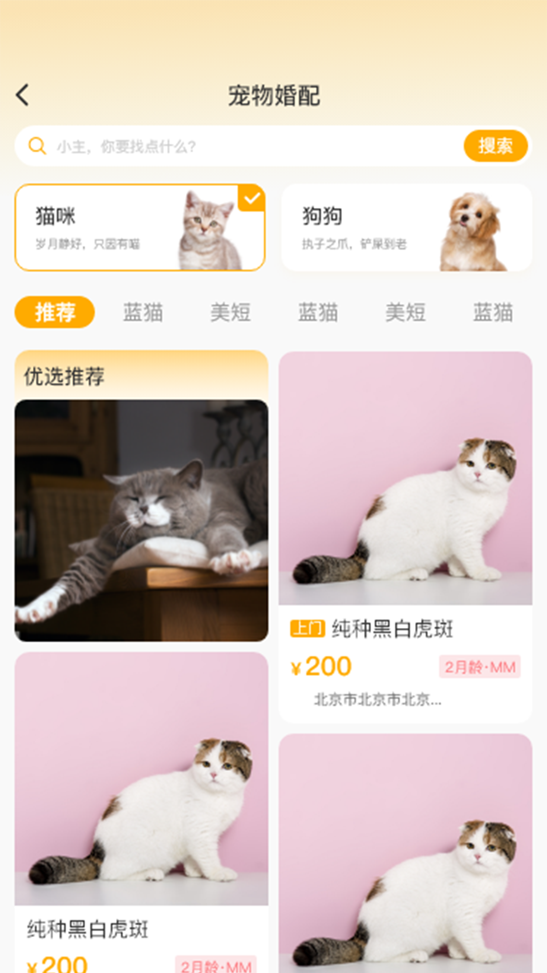 喵鑫球宠物截图0