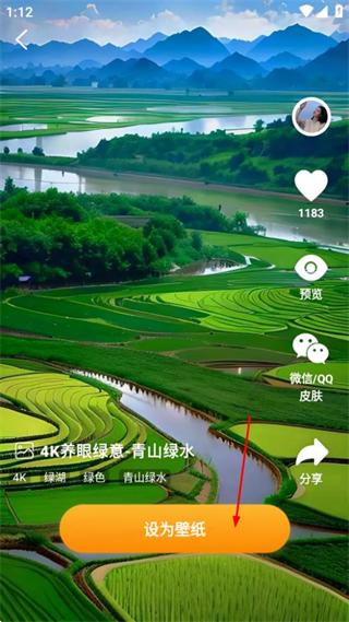 神龙壁纸