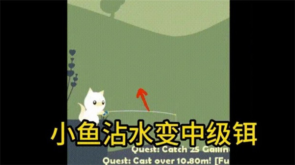小猫钓鱼无限等级