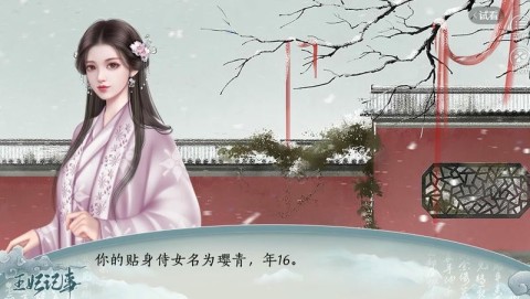 王妃记事