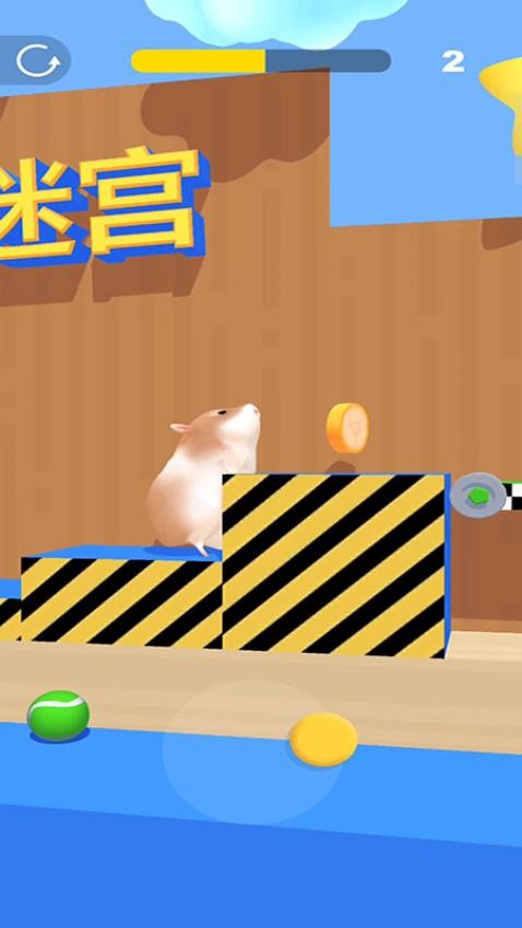 仓鼠迷宫游戏截图0