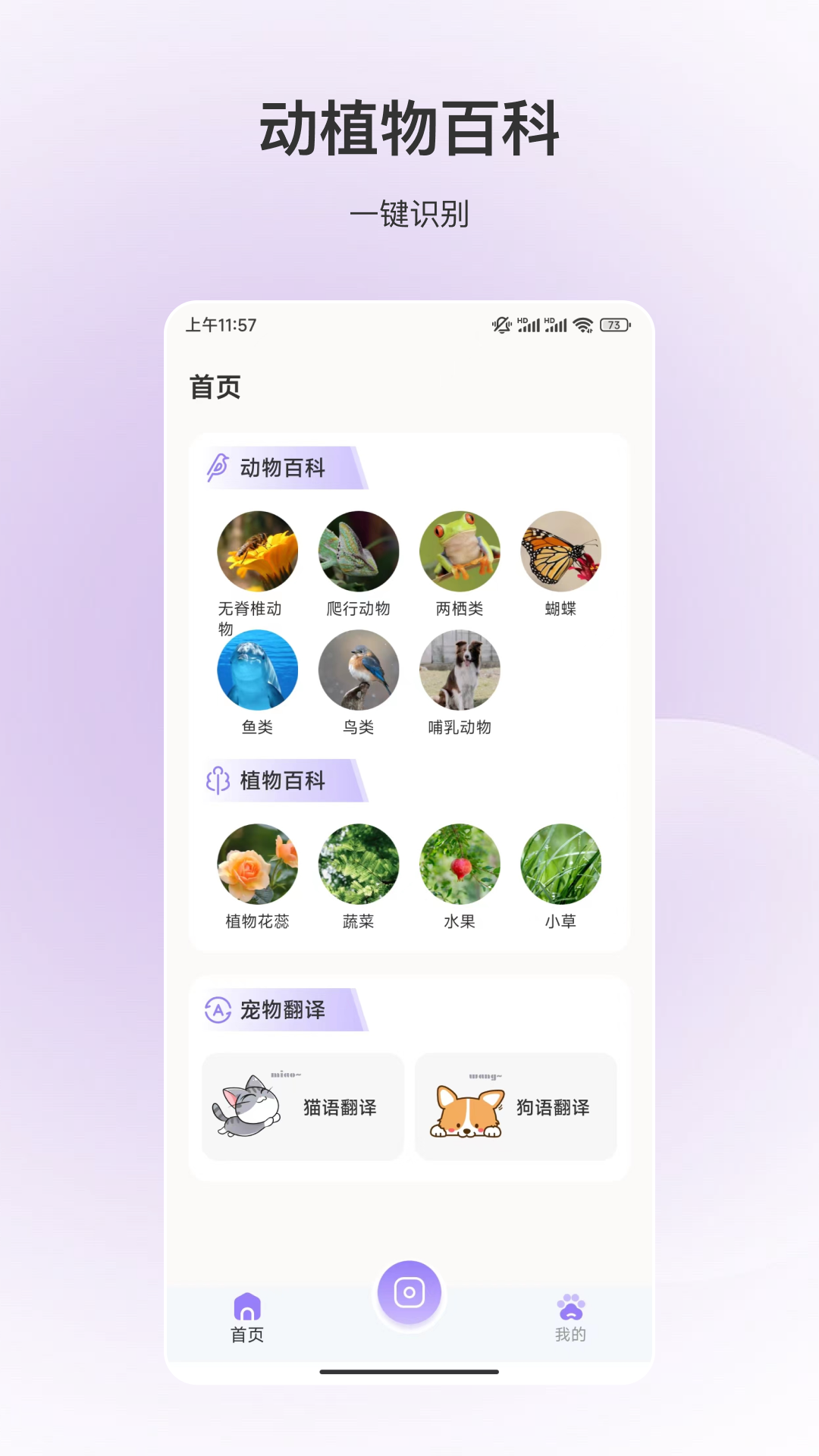 动物识别截图0