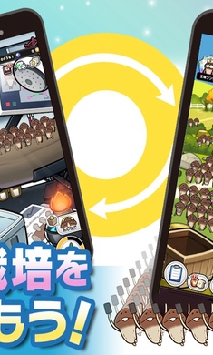 菇菇栽培研究室截图0