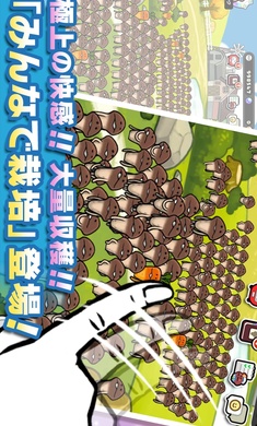 菇菇栽培研究室截图2