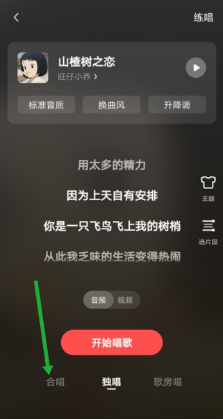 全民k歌极速版