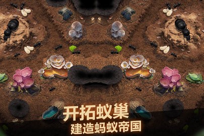 小小蚁国最新版截图0