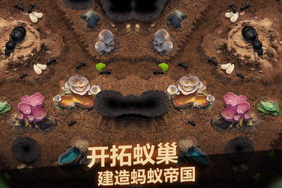 小小蚁国最新版