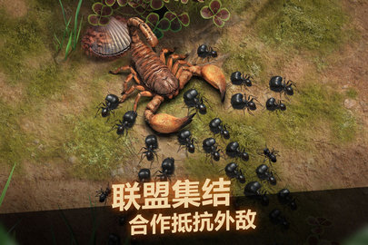 小小蚁国最新版