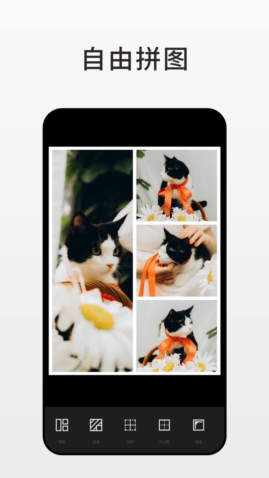 Fotor截图0