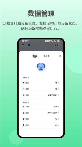 酷宠截图4