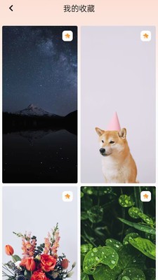 天天换壁纸截图0
