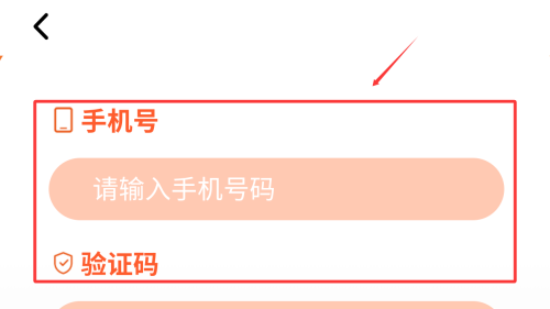 拍易拍