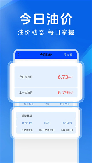 车辆违章代码快查截图0
