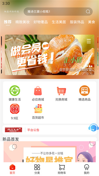 汇小猪