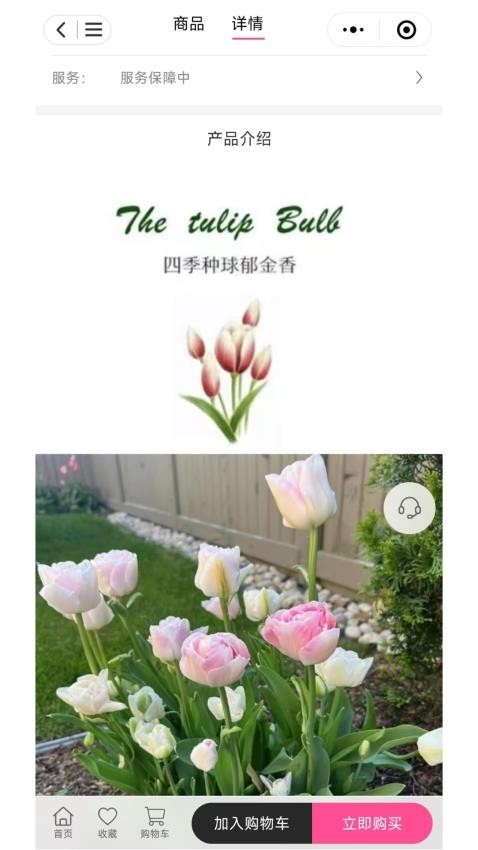 七彩荔枝手机版截图0