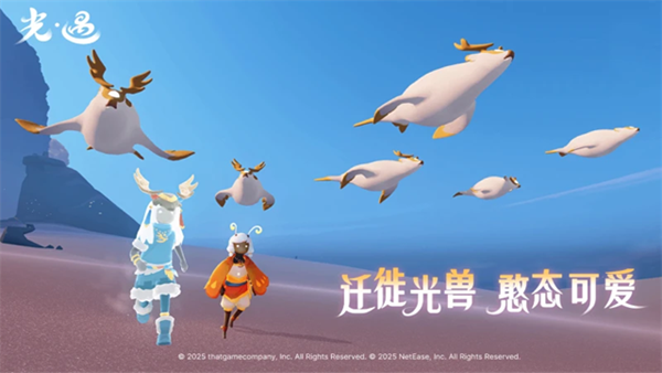 光遇荣耀版截图2