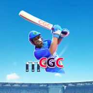 板球比赛冠军3D（Cricket Game Championship 3D）