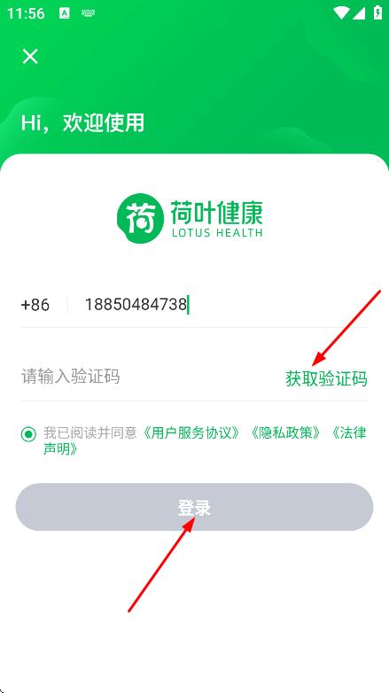 荷叶健康