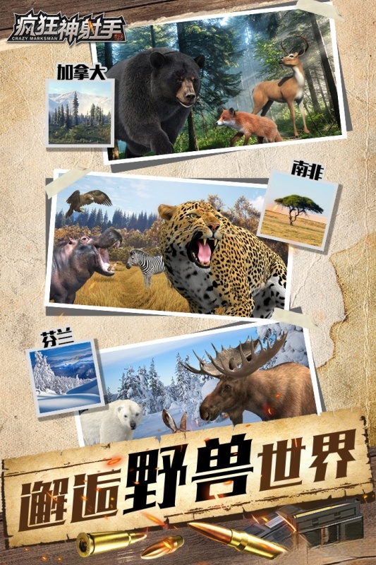 疯狂神射手截图1