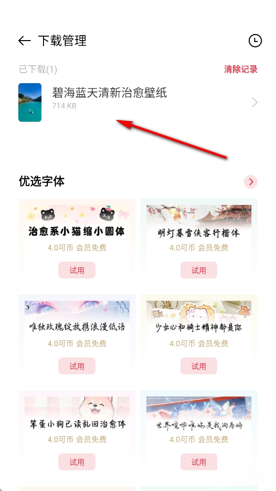 oppo主题商店正版