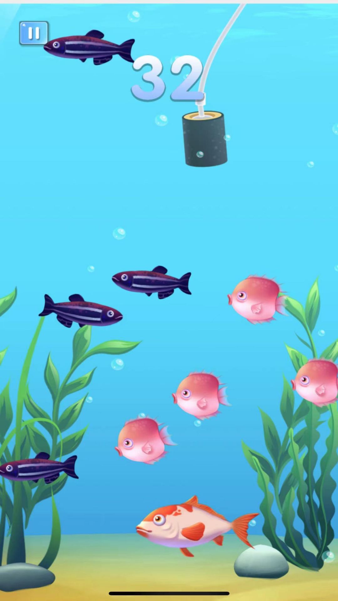疯狂鱼宴大吃特吃截图0