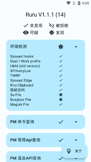 ruru环境检测截图3