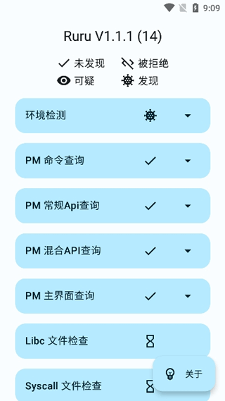 ruru环境检测截图2