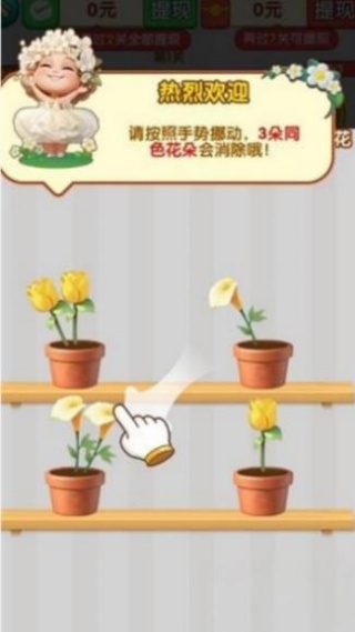 花团锦绣